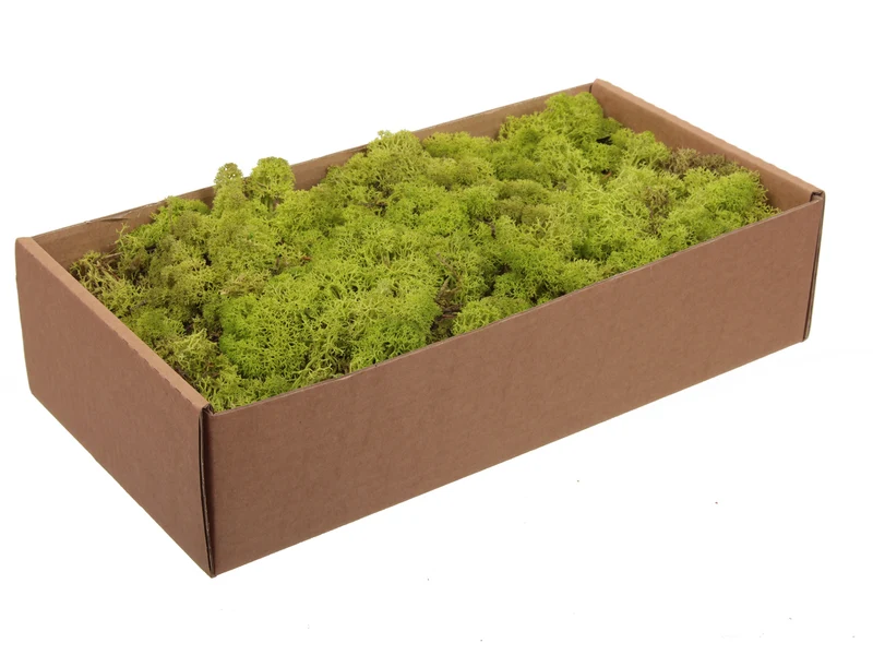w/b. 500g. finnland moss light-green 500gr.