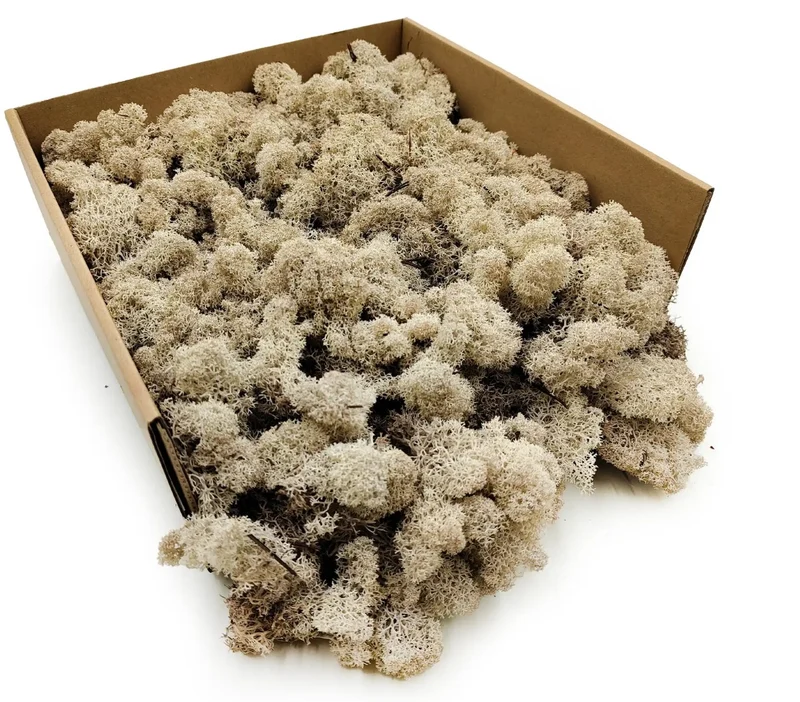 Ijslandsmos geprepareerd BULK natuur 2,5kg