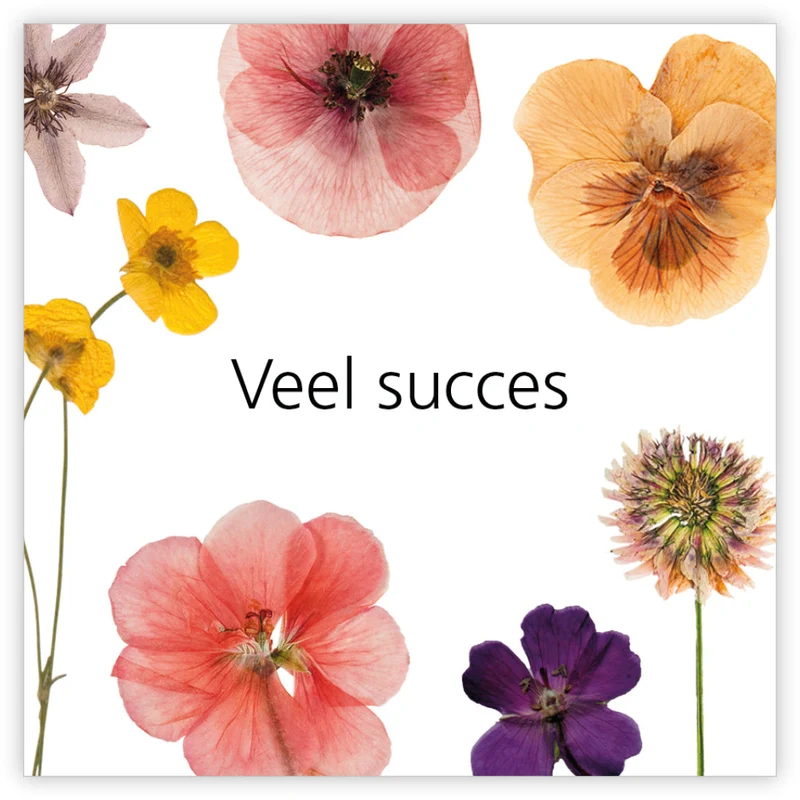 Pakje a 12 kadokaartjes Le Jardin Veel succes