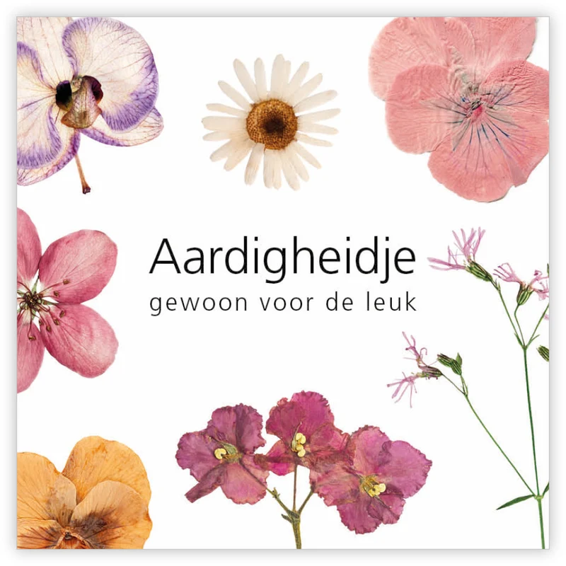 Pakje a 12 kadokaartjes Le Jardin Aardigheidje gewoon voor de leuk