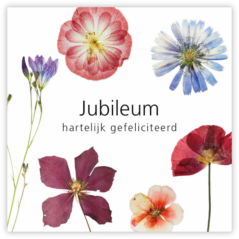 Pakje a 12 kadokaartjes Le Jardin Jubileum, hartelijk gefeliciteerd