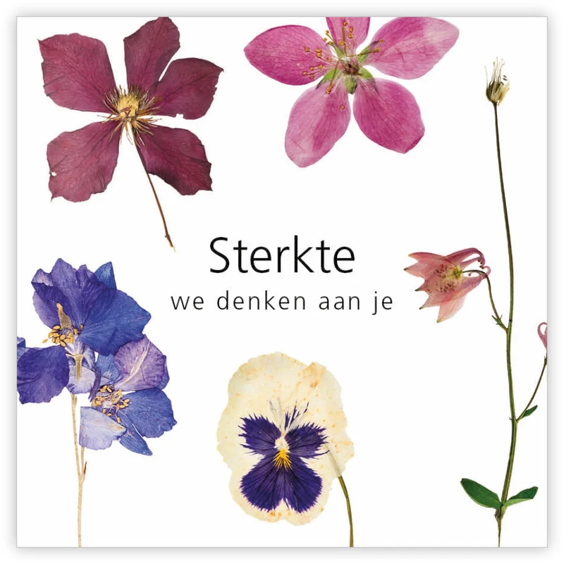 Pakje a 12 kadokaartjes Le Jardin Sterkte we denken aan je