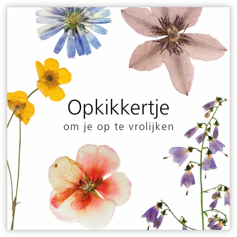 Pakje a 12 kadokaartjes Le Jardin Opkikkertje om je op te vrolijken