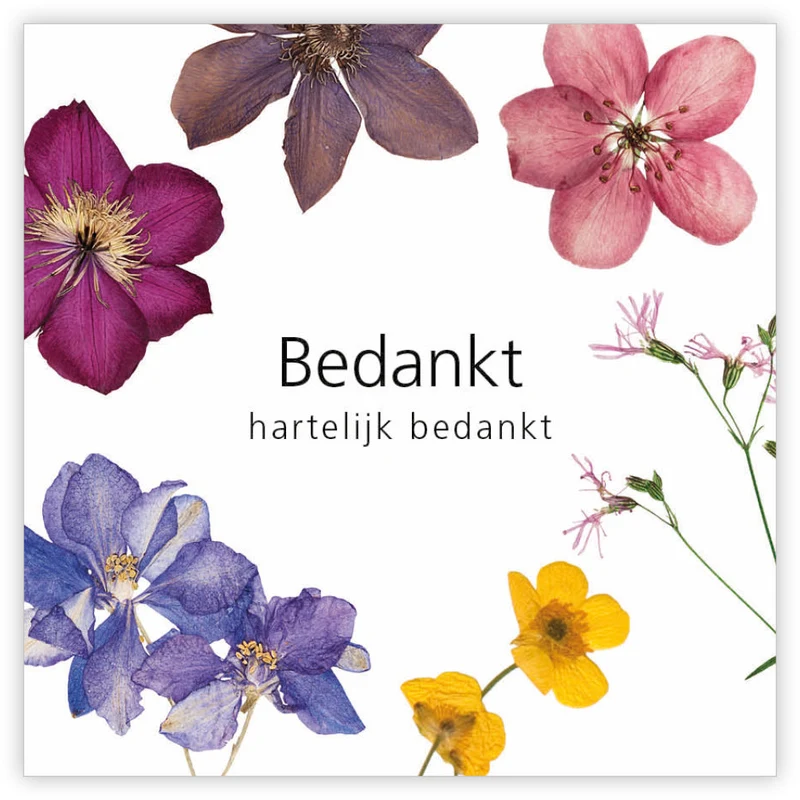 Pakje a 12 kadokaartjes Le Jardin Bedankt hartelijk bedankt