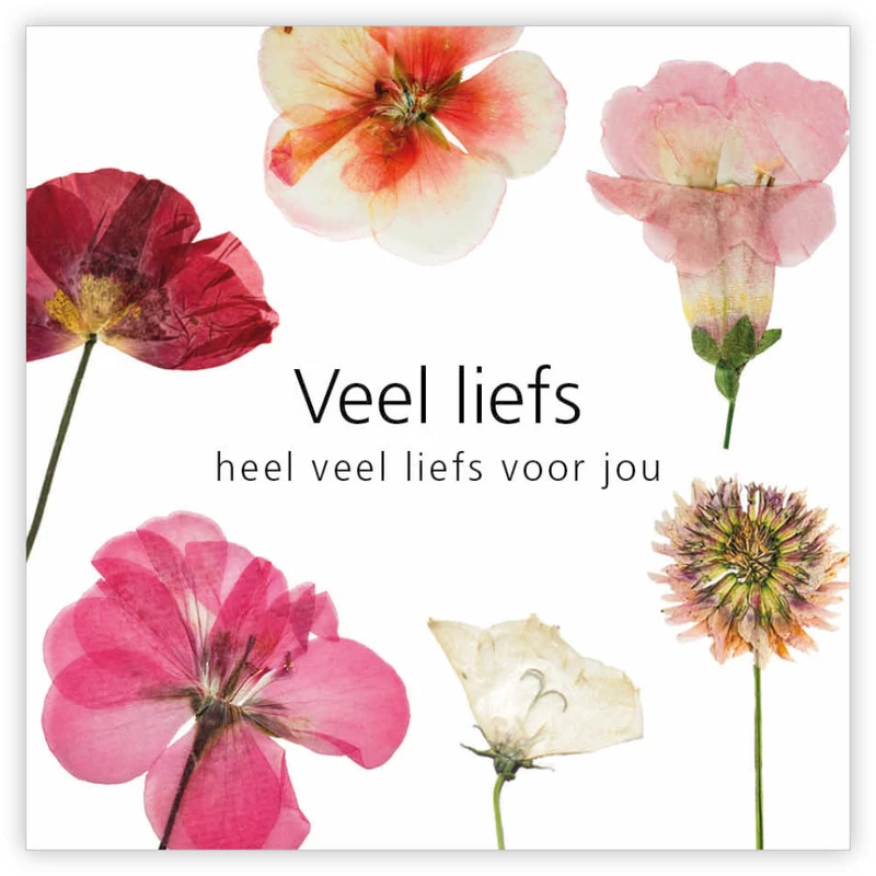 Pakje a 12 kadokaartjes Le Jardin Veel liefs heel veel liefs