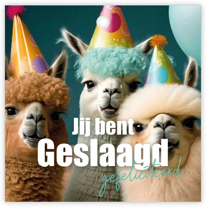 Pakje a 12 Kadokaartjes Jij bent geslaagd gefeliciteerd