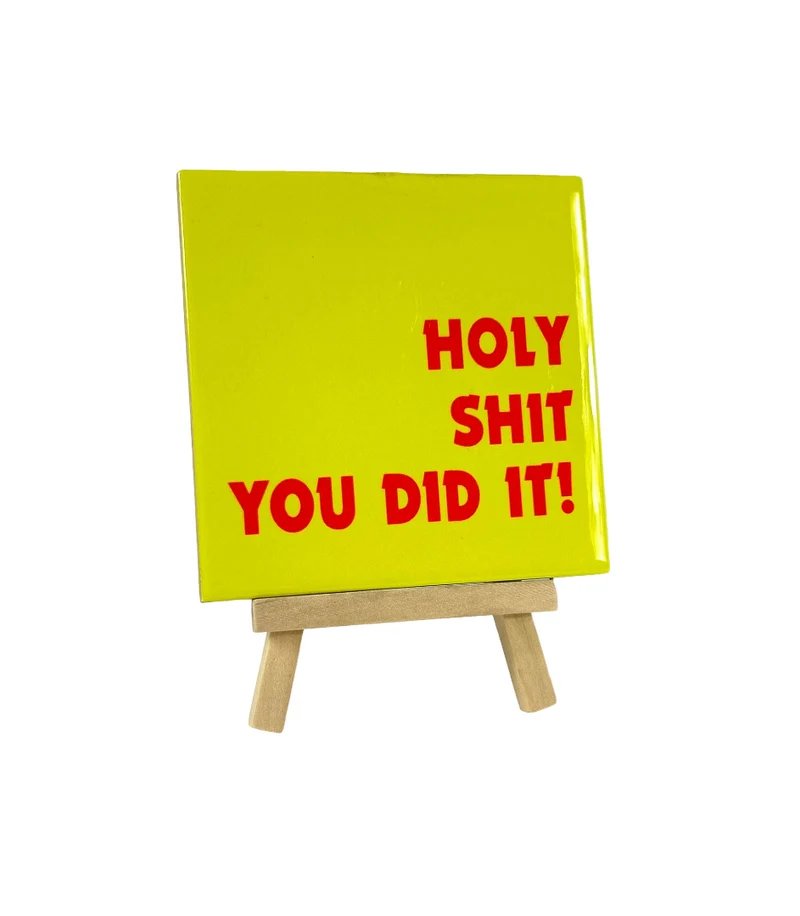 Tegeltje - Holy shit you did it - 11x11cm