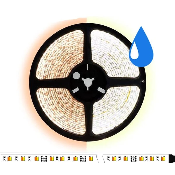 5 meter CCT led strip DUAL LED - 60Leds/m - IP65 - 12V