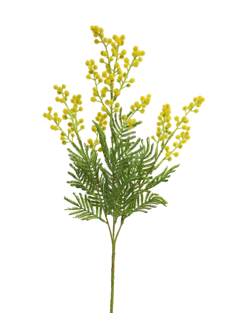 Mimosa Eloise yellow 68cm