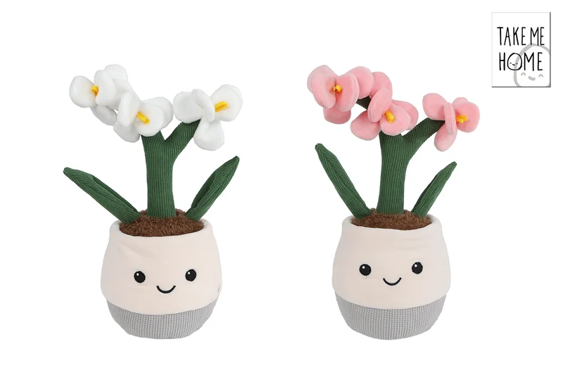 Take Me Home plant pluche orchidee L 2 assortie 23cm