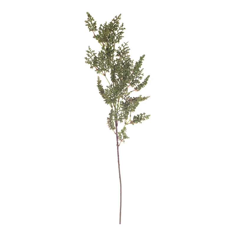 Euphorbia tak gevlokt 100cm Groen
