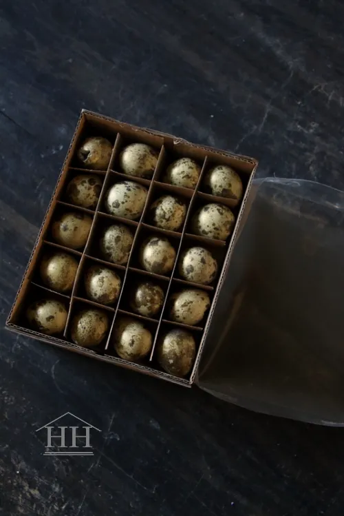Kwarteleitjes met een laagje goud 60 stuks