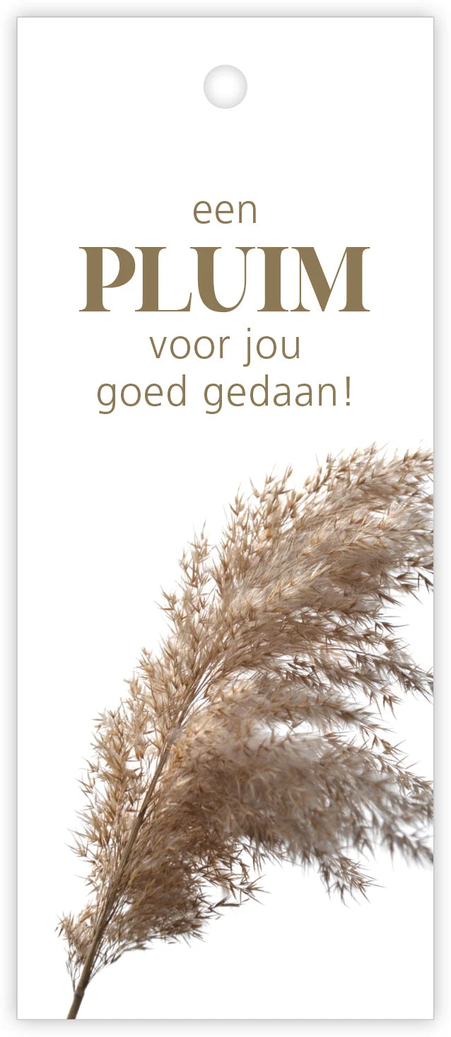 Pakje a 12 kadokaartjes Pampas Een pluim voor jou goed gedaan!