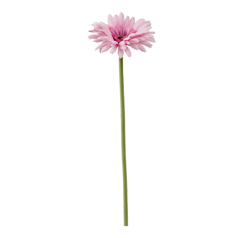 Single Gerbera 55cm roze