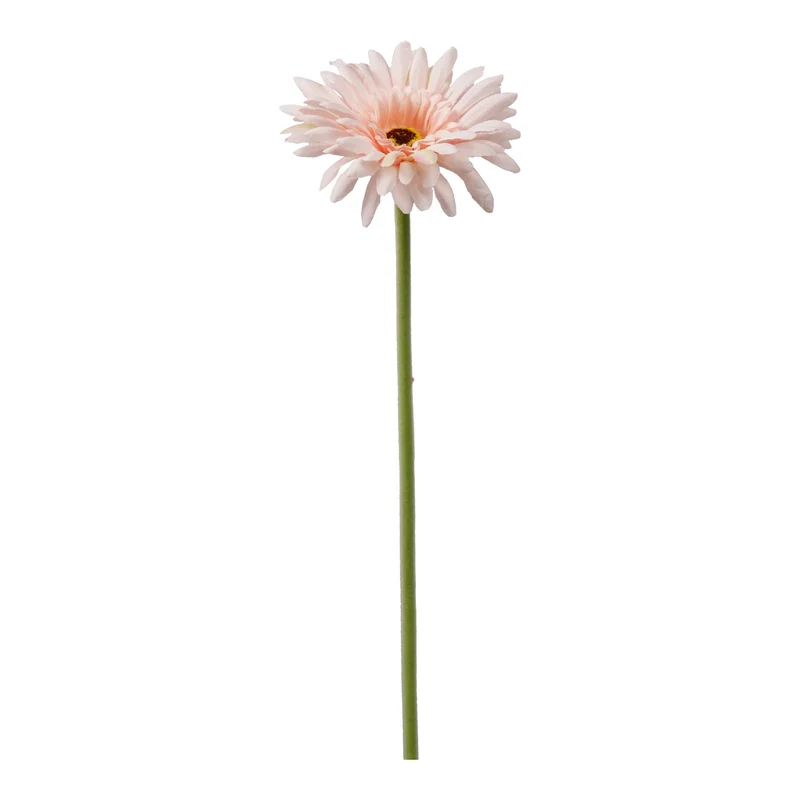 Single Gerbera 55cm lichtroze