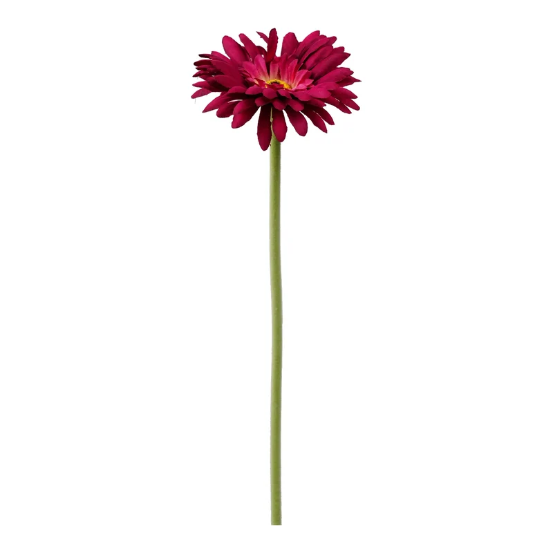 Single Gerbera 55cm beauty