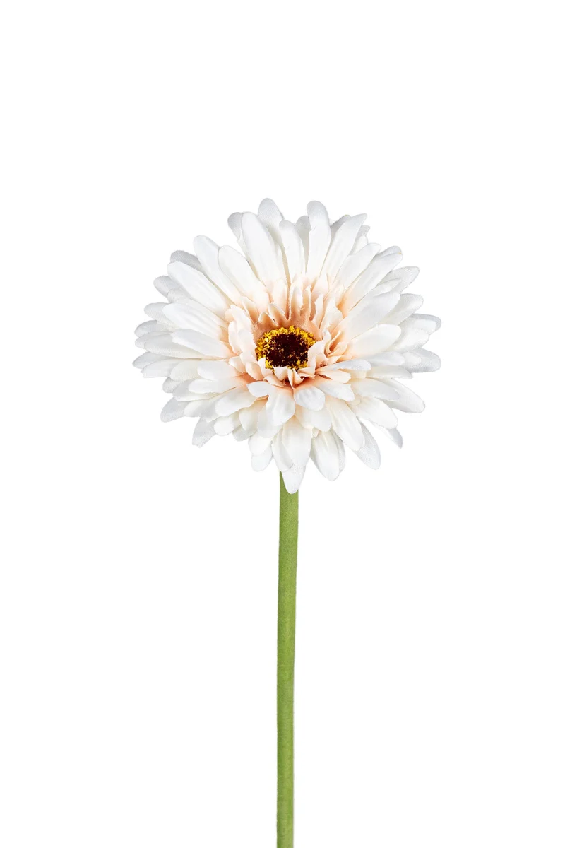 Gerbera l58cm beige