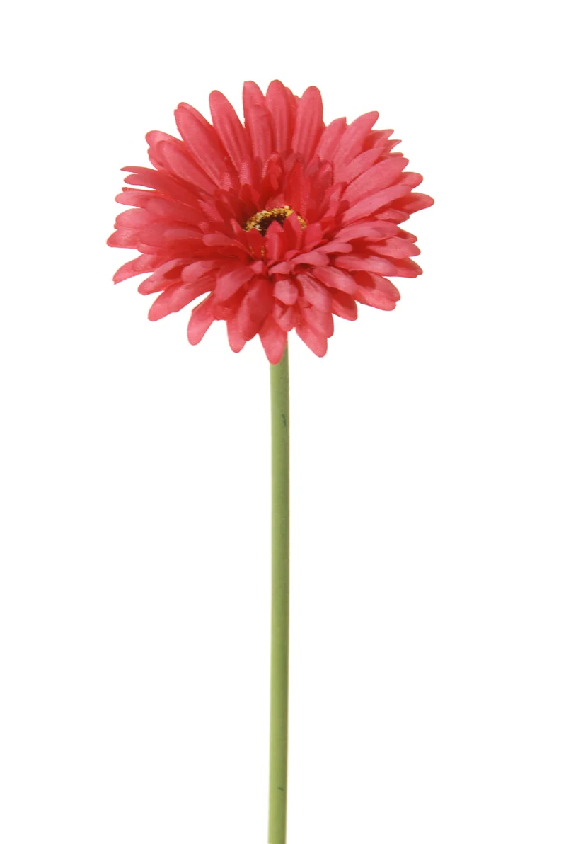 Gerbera l58cm cerise