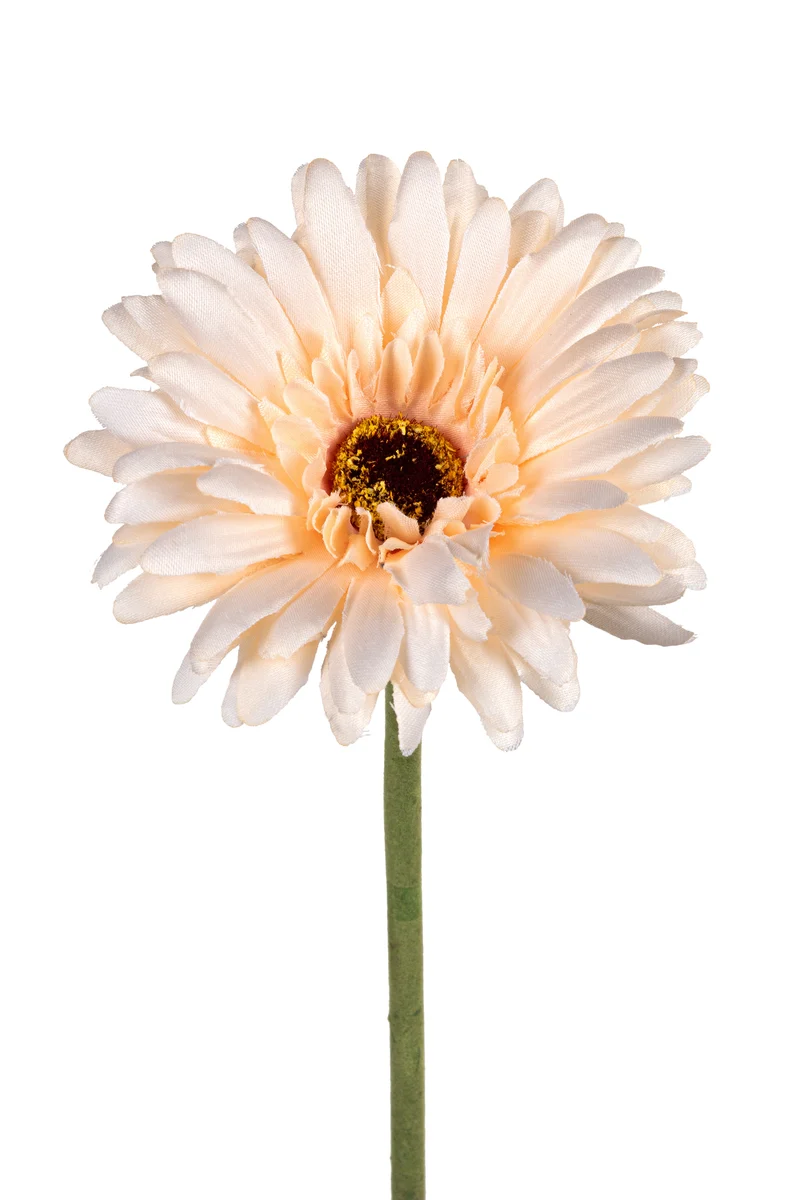 Gerbera l58cm zalm