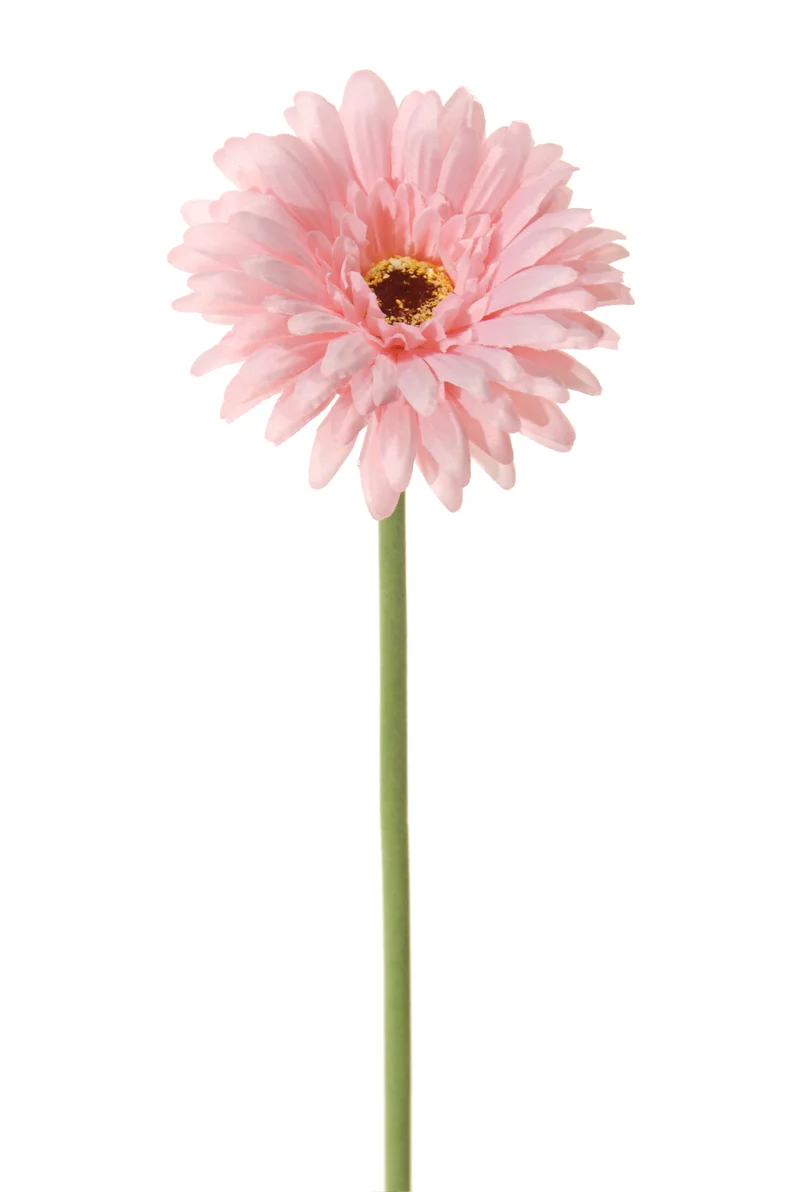 Gerbera l58cm licht roze