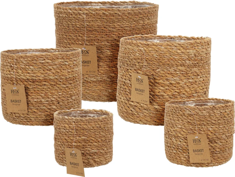 MANDENSET ZEEGRAS SET VAN 5 STUKS NATUREL D20/12 H18/10cm