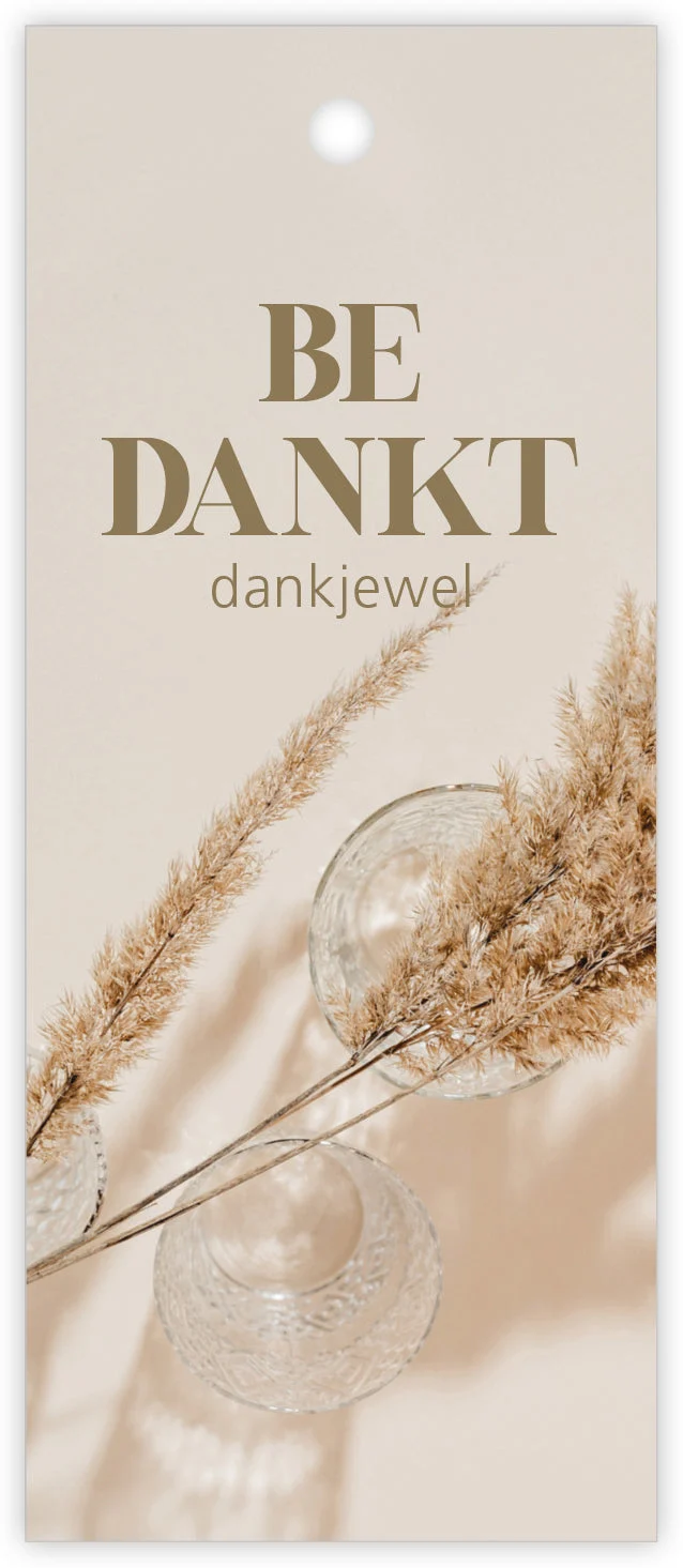 Pakje a 12 kadokaartjes Pampas Bedankt