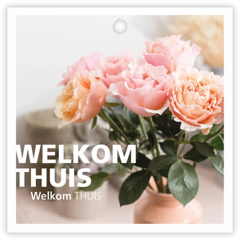 Pakje a 12 kadokaartjes Basics Welkom Thuis