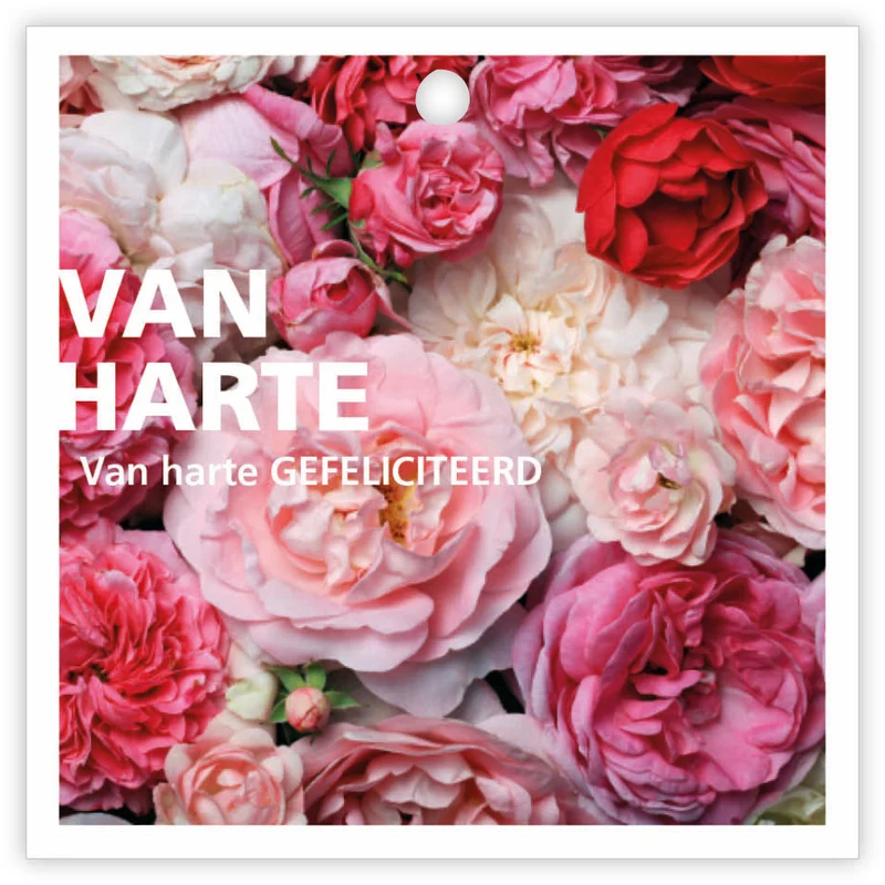 Pakje a 12 kadokaartjes Basics Van Harte gefeliciteerd 781
