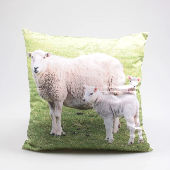 BUITENKUSSEN SCHAPEN 45X45 CM