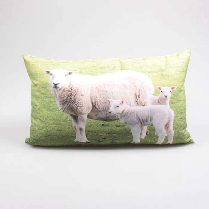 BUITENKUSSEN SCHAPEN 30X50 CM