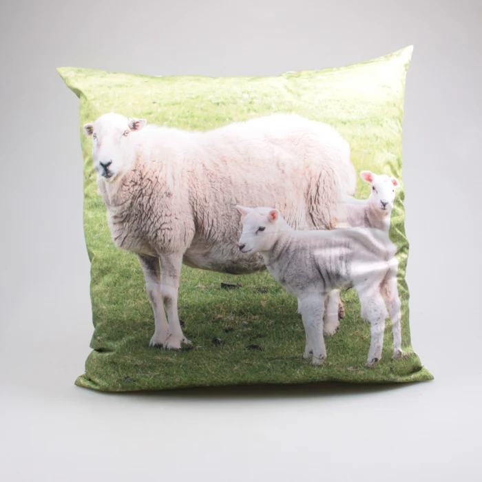 BUITENKUSSEN SCHAPEN 60X60 CM