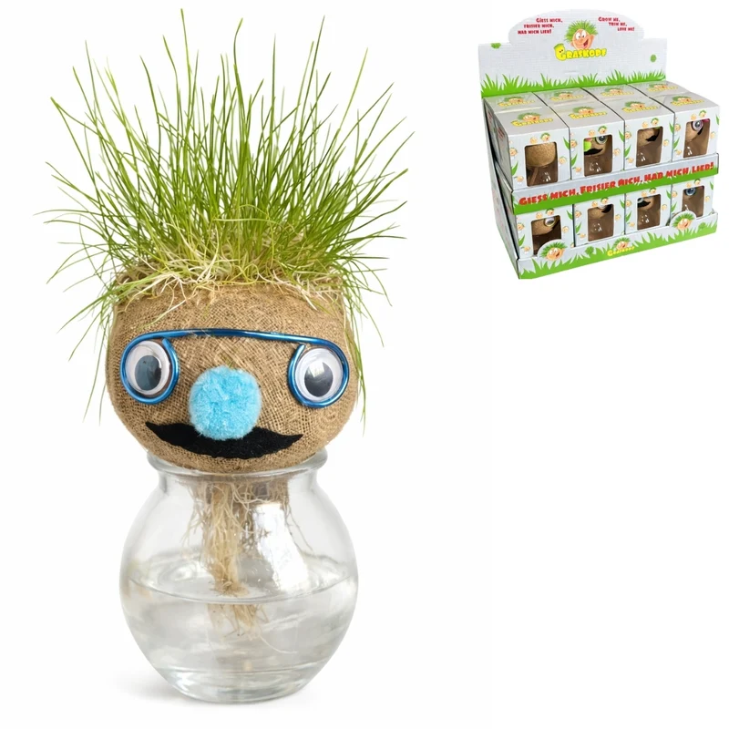 Grasvriendjes gezicht plantje in vaas D8 H12 cm 4 assortie