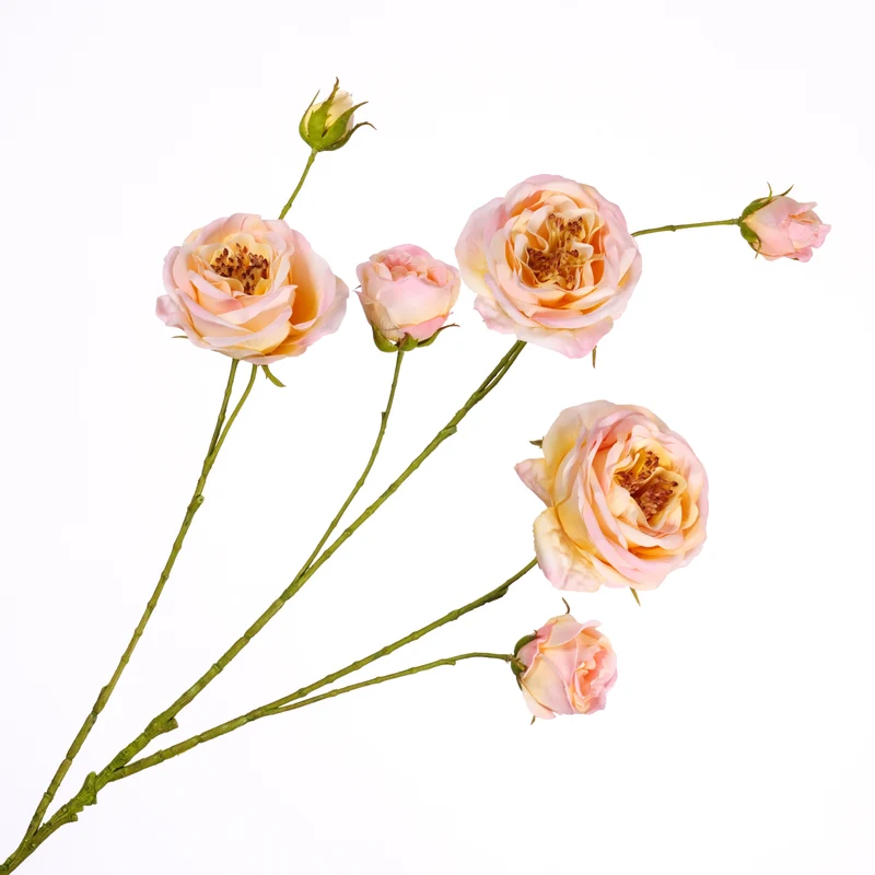 Rosa Spray Pink Light 94cm