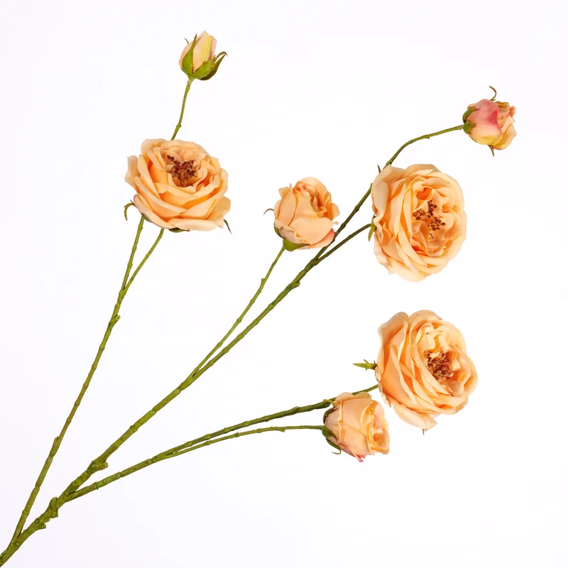 Rosa Spray Peach 94cm