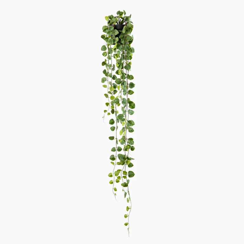 Philo Plant in Pot Green 106cm
