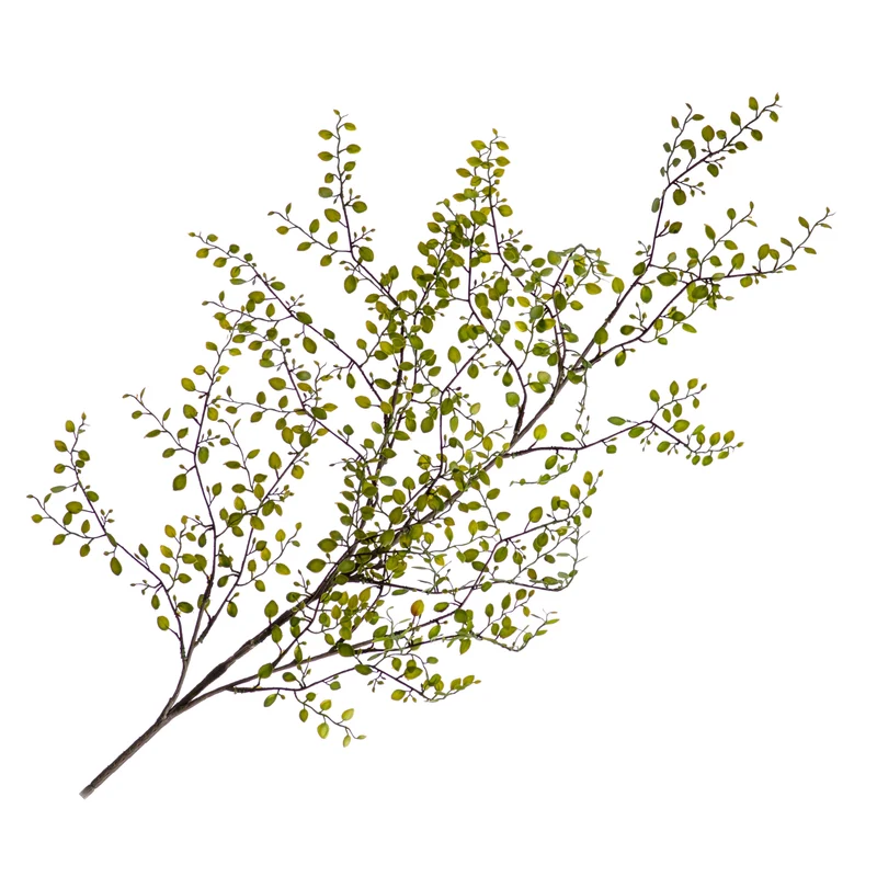 Muehlenbeckia Spray Green 136cm