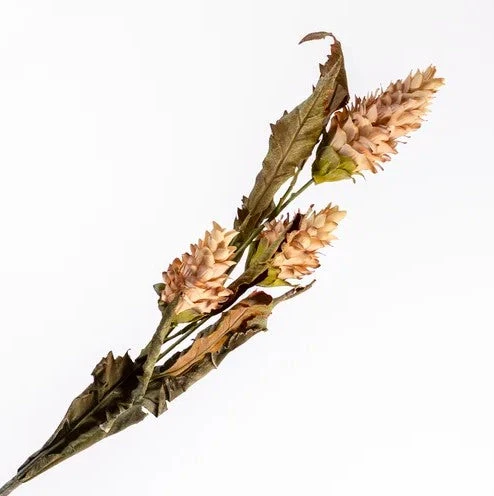 Ginger Torch Spray Beige 104cm