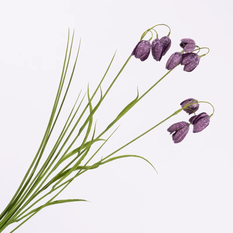 Fritillaria Purple 69cm