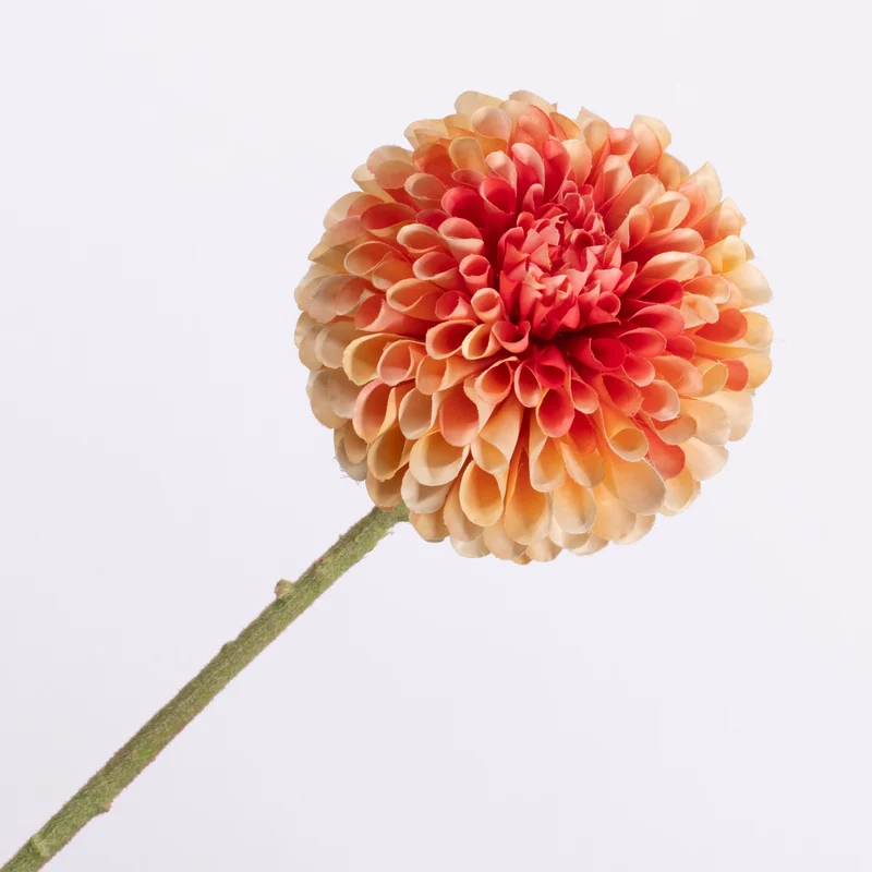 Dahlia Peach Pink 64cm