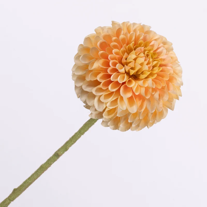 Dahlia Peach 64cm