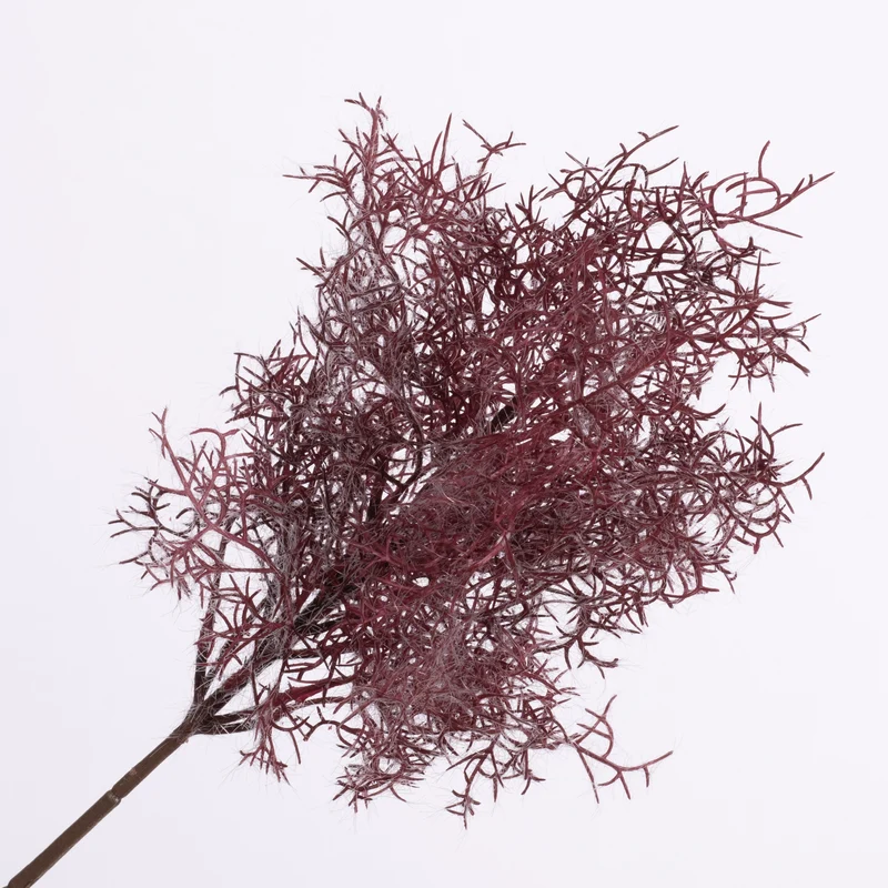 Cotinus Spray Red 53cm