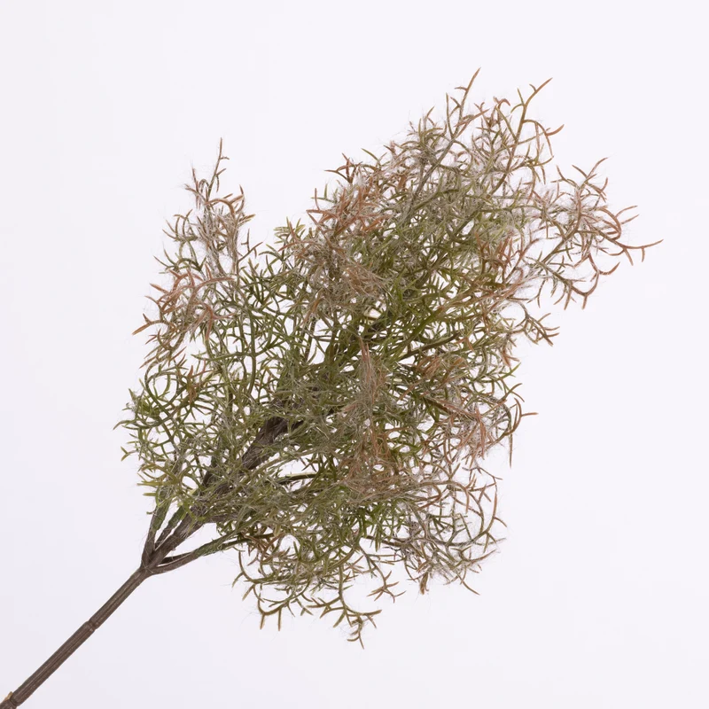 Cotinus Spray Green 53cm
