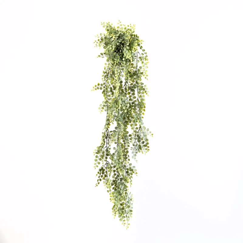 Button Leaf Hanging Plant in Pot Green 91cm