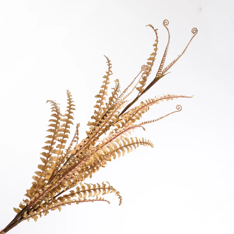 Boston Fern Bundle Beige 116cm