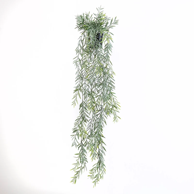 Acacia Hanging Plant in Pot Green 91cm