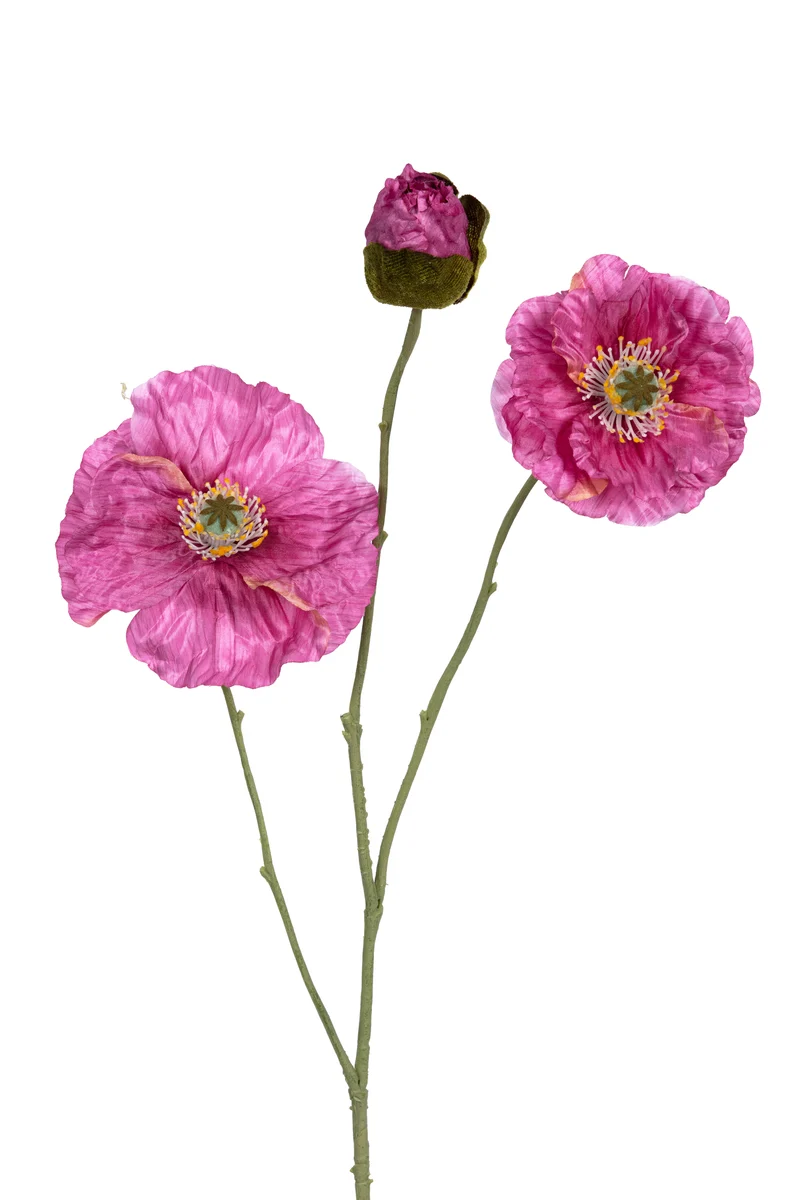 Papaver x3 l76cm mauve