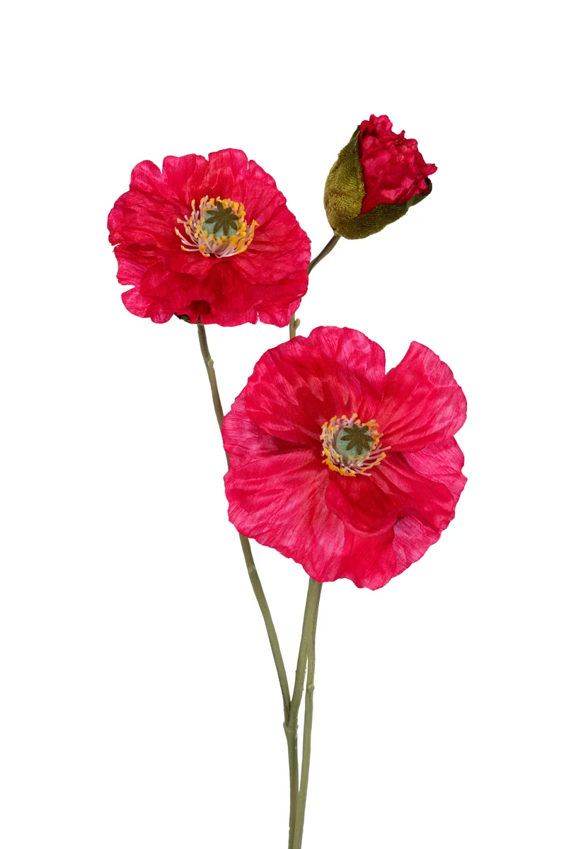 Papaver x3 l76cm cerise