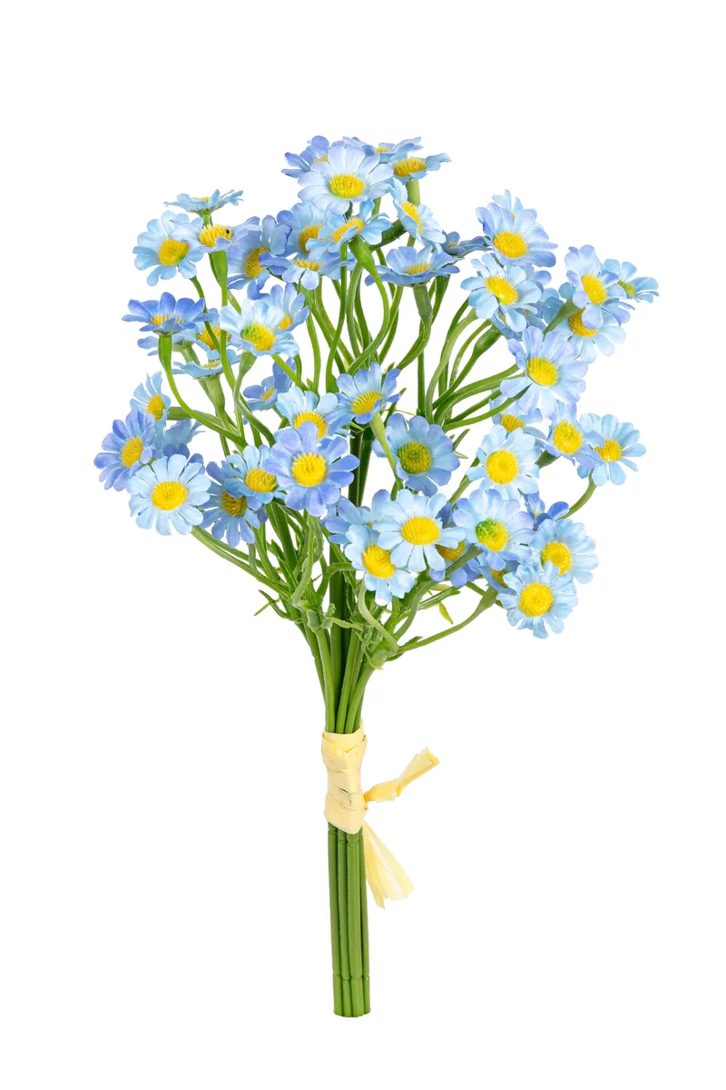 Margrietjes bundel h27cm blauw