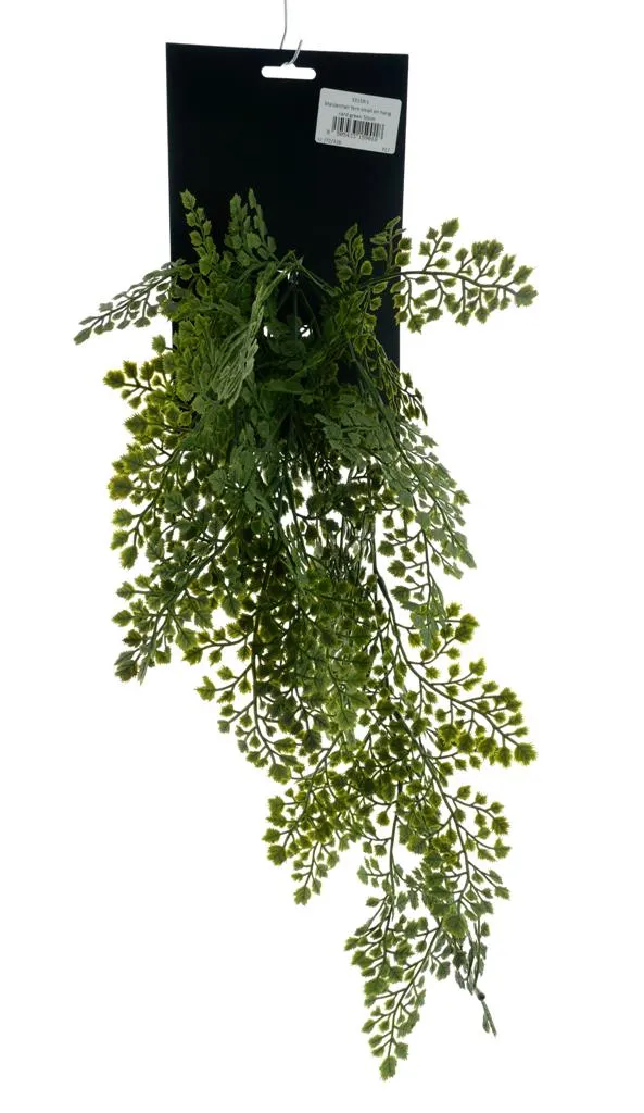 Maidenhair fern small on hang card green 50cm