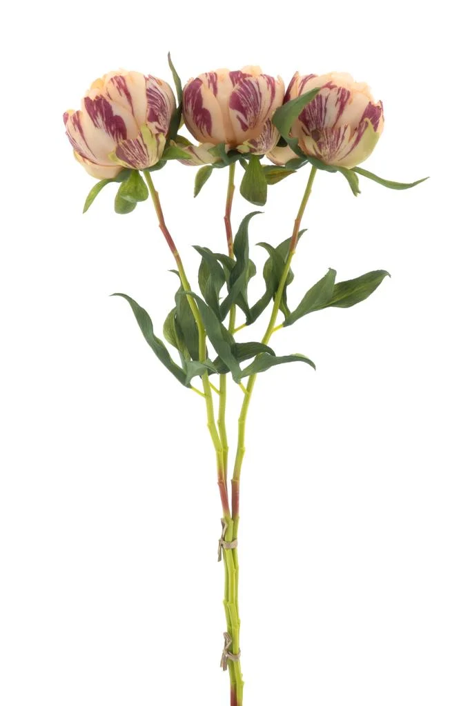 Paeony Marlie bundle a 3 pcs peach 63cm